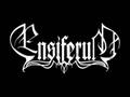 Ensiferum - Token of Time