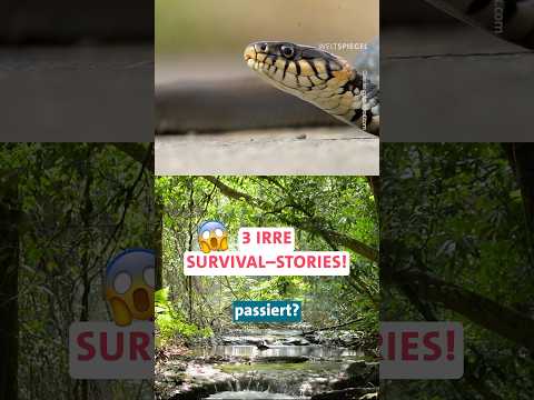 3 Irre-Survival-Stories!
