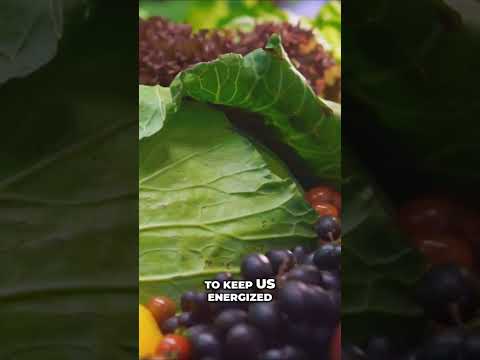 Unlocking Limitless Energy Fueling Your Body for Peak Performance