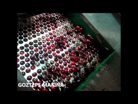 Frozen (iqf) Cherry-Sour Cherry Processing Line by GOZTEPE MAKINA