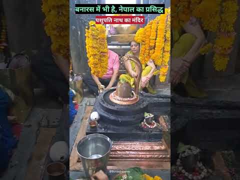 #काशी मेंपशुपतिनाथ#