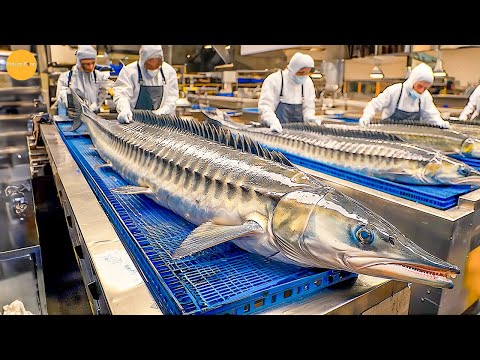 How Millions of Tons of Sturgeon Caviar Are Produced | Russian Caviar Production Process