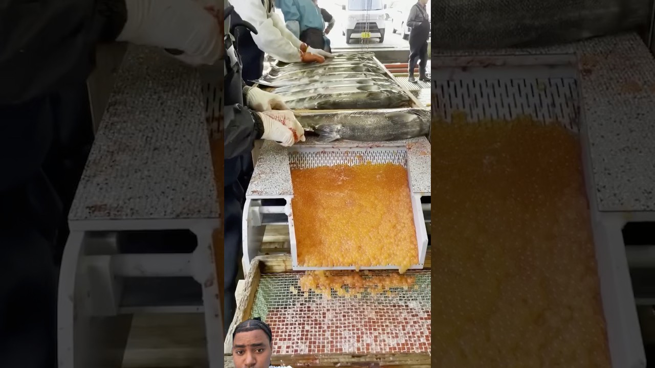 #fish #fishing #carpfishing #carp