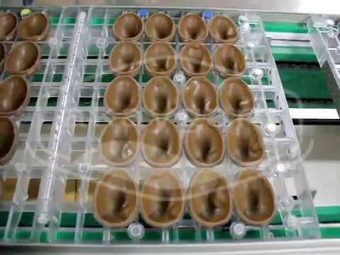 Spinner type chocolate shell production line (SECOND TEST) 