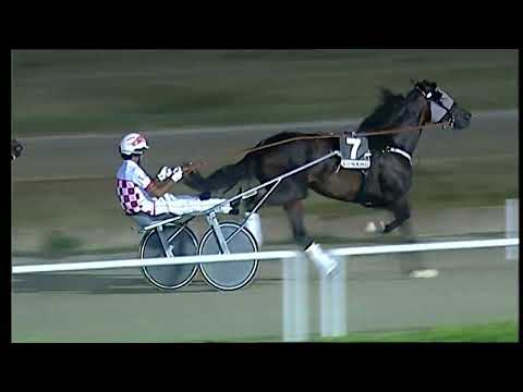 Napoli Trotto 03/07/2022 - 7ª corsa