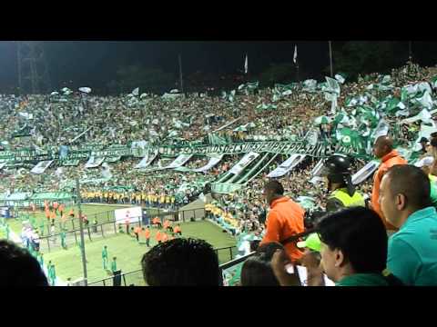 "Solo por vos campeón - Los del Sur (Nacional vs Atl. Mineiro)" Barra: Los del Sur • Club: Atlético Nacional