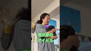 【100の質問】79こ目 #まぐにぃ #shorts #実写