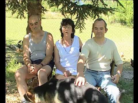 Los brigands del Borg