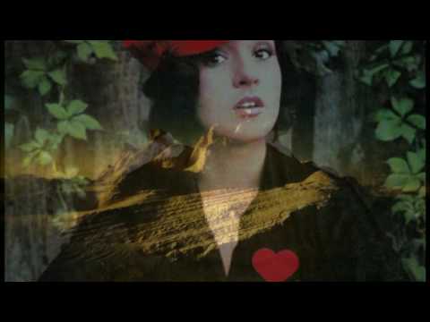 Anda Călugăreanu   Trecea condorul