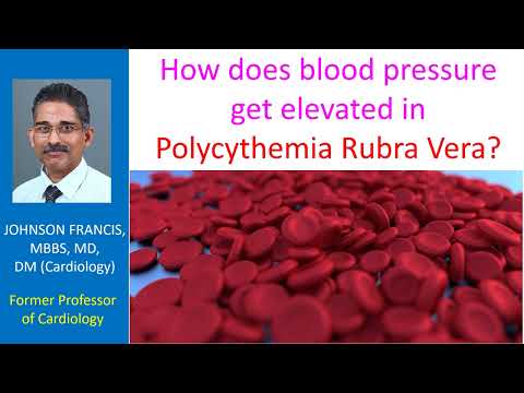 How does blood pressure get elevated in Polycythemia Rubra Vera?