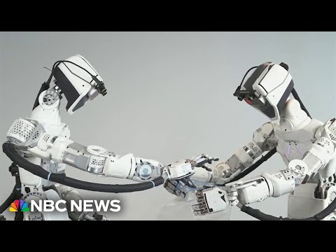 大型科技公司的人工智能機器人競賽內幕 (Inside big tech's A.I. robot race)
