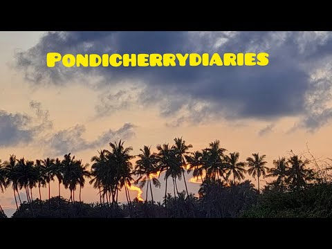 Pondycherry vlog I 2024 I #travel #traveldiaries #travelvlog #nature #lovetravel #sea #pondicherry