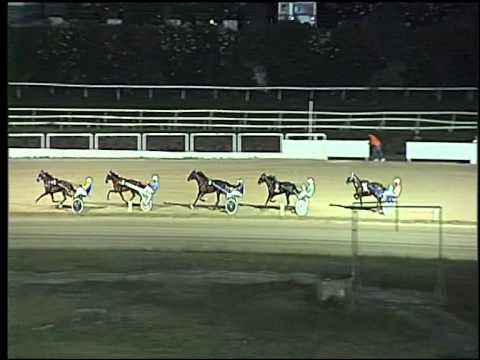 Trotto 25/07/2015 - 2° prova di qualifica