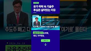 혼조에도 기술주 투심은 살아있는 이유ㅣ이완수 그레너리투자자문 대표