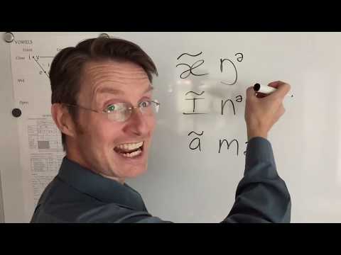 Nasalizing Vowels and Dropping Nasal Consonants