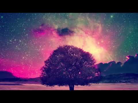 1 HORA DE MÚSICA PARA SE CONECTAR COM A ABUNDÂNCIA E PROSPERIDADE   528HZ 963HZ   CONEXÃO COM O TODO