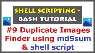Shell Scripting Tutorial for Duplicate Images Finder | Linux Commands for md5sum #shellscript