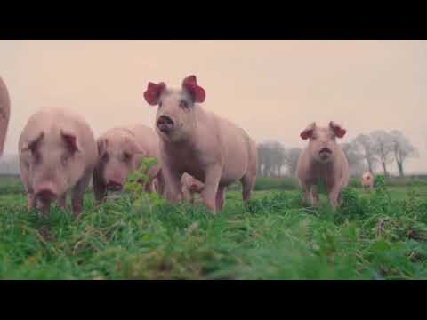 Plezier En Passie   Gemeente Echt Susteren Het smalste stukje van Nederland