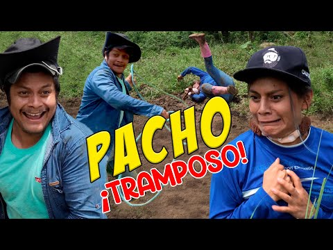 PACHO TRAMPOSO