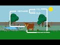 How can livestock be a part of the climate solution? The natural carbon cycle explained.