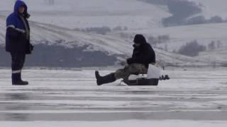 Ловля окуня зимой на виброхвост