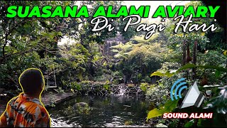 Download lagu SOUND ALAMI..! BEGINILAH SUASANA HUTAN TROPIS AVIARY DI PAGI HARI.. SEMUA BURUNG LANGSUNG BERKICAU mp3 Download lagu SOUND ALAMI..! BEGINILAH SUASANA HUTAN TROPIS AVIARY DI PAGI HARI.. SEMUA BURUNG LANGSUNG BERKICAU mp3