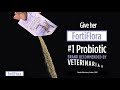 Promote a Strong Immune System in Pets with FortiFlora