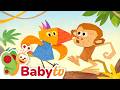 Monkey Magic Can Tucky Keep Up Animal Behavior For Toddlers BabyTV