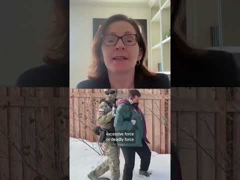 Law expert details how ICE agent in MN shooting could be prosecuted | REUTERS