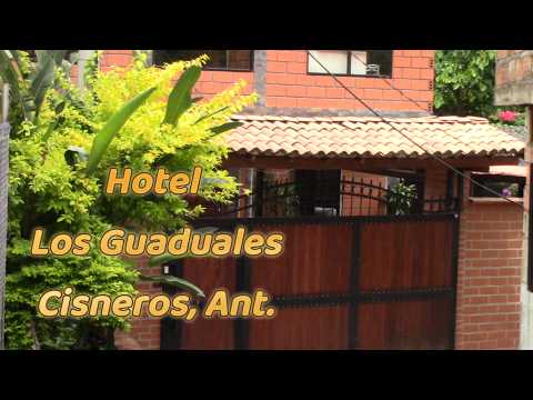 TALENTOS REGIONALES,Desde Cisneros, Ant.  31 05 2026