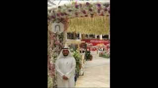 صورة فتنة الزنج  - 264