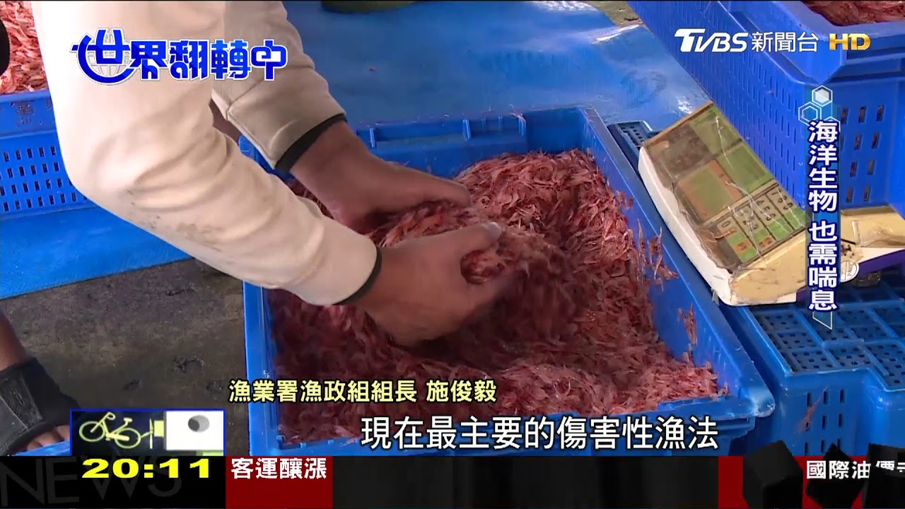 找回乾淨的海!禁漁養魚、減塑救生態