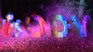 The Light Music Video