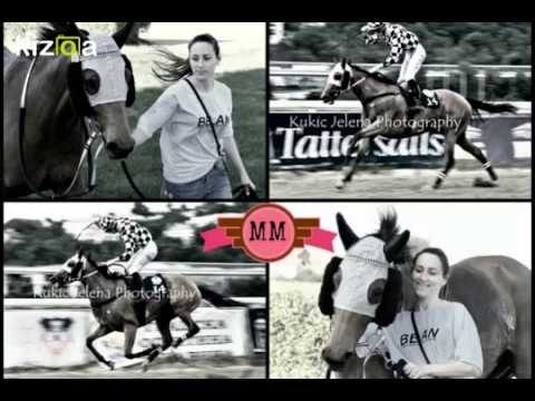 Beogradski Hipodrom, 08/07/2018... 96. Srpski galopski Derby - Vladina trka