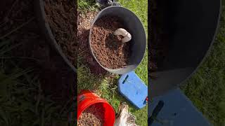 Well pipe head cover, PVC landscaping cover