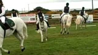 preview picture of video 'Dancing Connemara Ponies  Roundstone 2010'