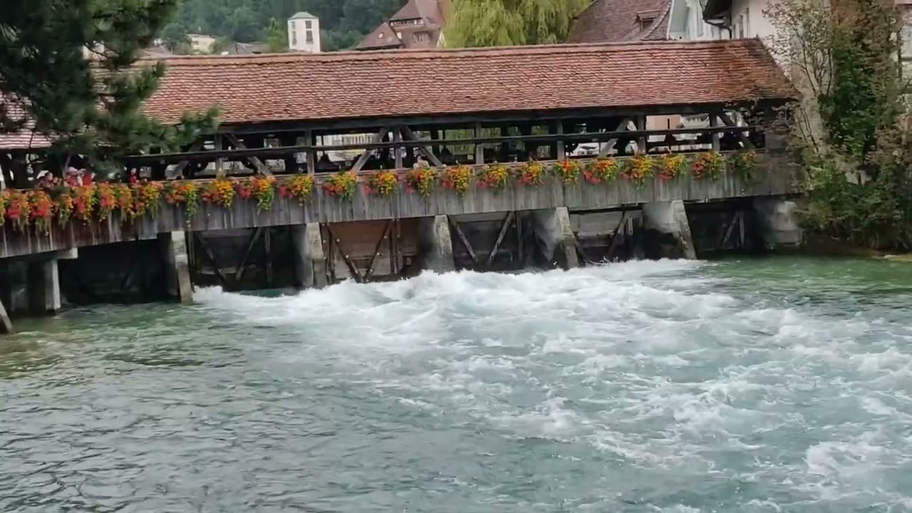 Catch a captivating glimpse of Obere Schleuse.