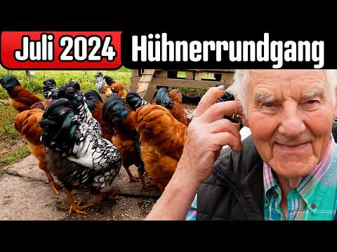 Hühnerrundgang EDU Juli 2024