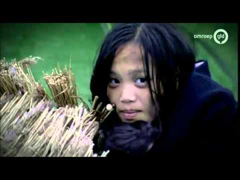 Zomer in Gelderland 25 augustus 2015 - 2015