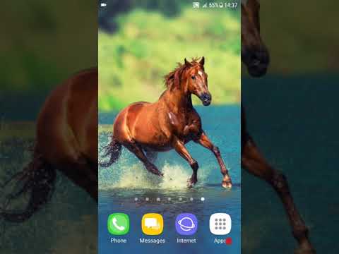 Horse Wallpapers 4k Video