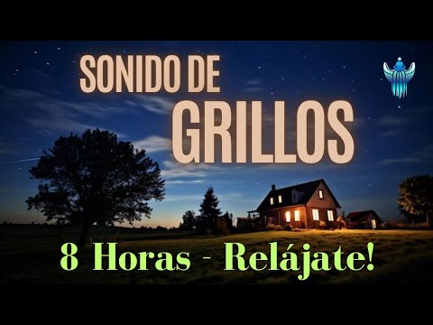[8 Horas] SONIDO de GRILLOS Relajante para DORMIR Profundamente y MEDITAR