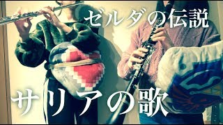 【フルート】ゼルダの伝説より「サリアの歌」演奏してみた【クラリネット】