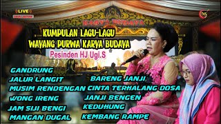 Download lagu 11 Lagu Terbaru Wayang Karya Budaya Sinden Hj Ugi.S mp3