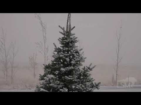 10-24-2020 Driggs, ID - Winter Storm, Early Season Snow Ahead of Arctic Blast