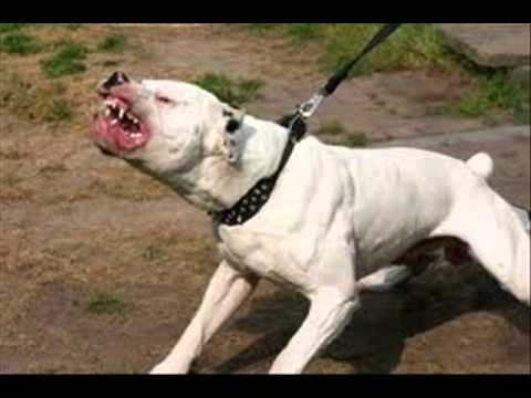 Kicsi G, Raphlexz, Adam00 - Eger City Underground