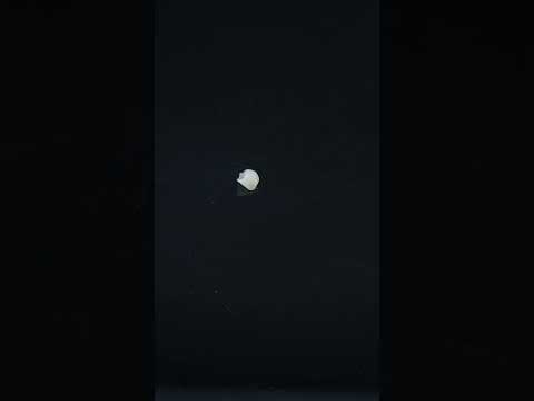 YouTube 썸네일