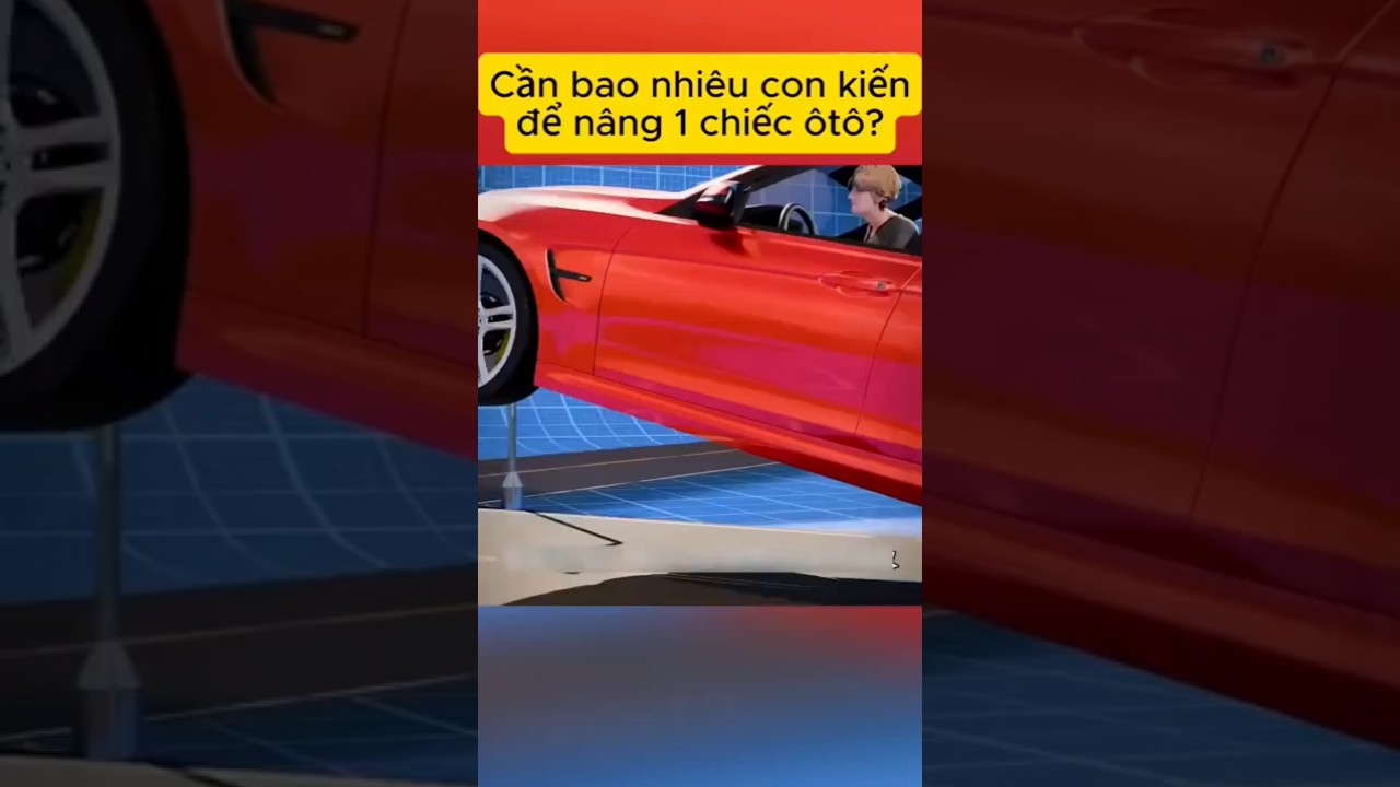 Cần bao nhiêu con kiến để nâng 1 chiếc ôtô?