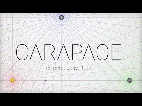 Carapace - A free perspective tool that works with any software