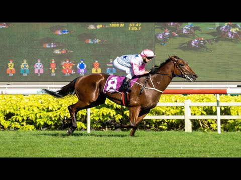 2020 LION CITY CUP (G1) | THE INFERNO | KRANJI, SINGAPORE |