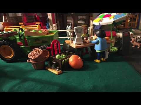 Diorama Playmobil - La vie à la campagne